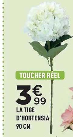 TOUCHER RÉEL 3€99 LA TIGE D’HORTENSIA 90 CM