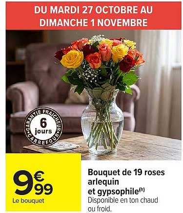 Bouquet de 19 roses arlequin et gypsophile(h)