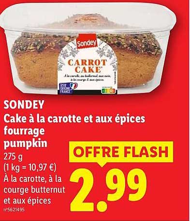 Cake à la carotte et aux épices fourrage pumpkin
