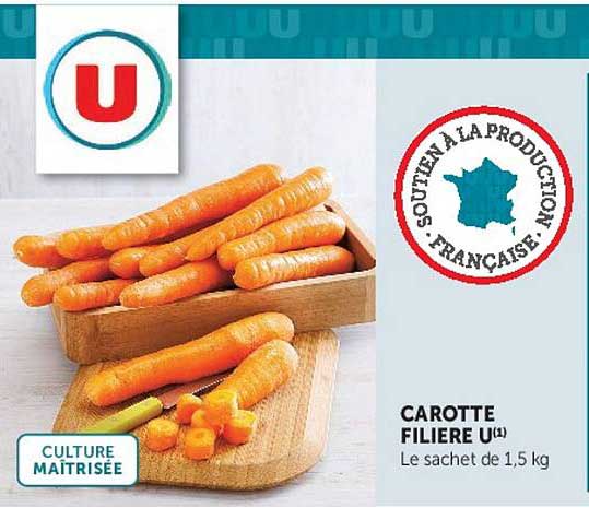 CAROTTE FILIERE U(1)