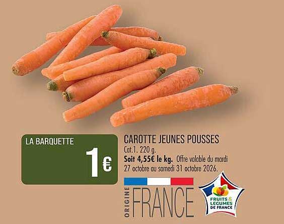CAROTTE JEUNES POUSSES