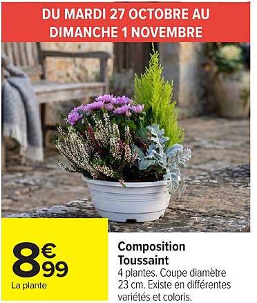 Composition Toussaint