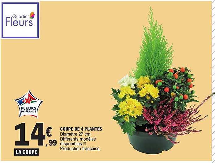 COUPE DE 4 PLANTES