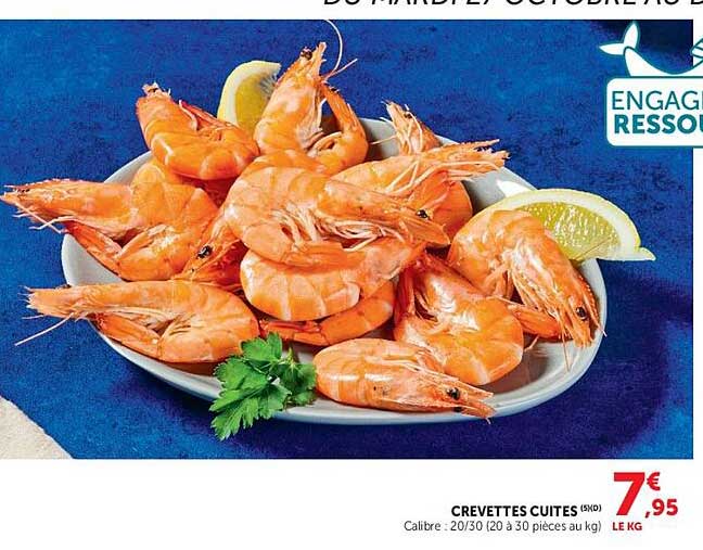 CREVETTES CUITES (5)
