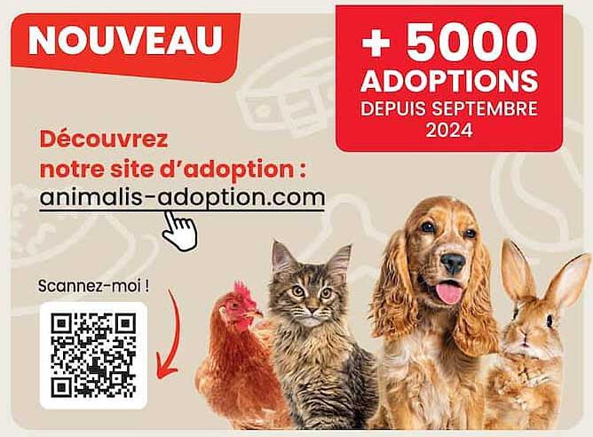 Découvrez notre site d’adoption : animalis-adoption.com