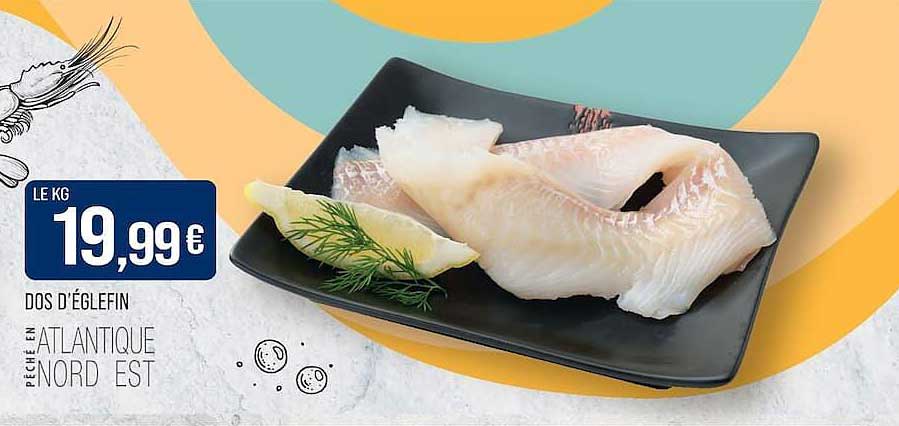 DOS D'ÉGLEFIN PÊCHÉ EN ATLANTIQUE NORD EST