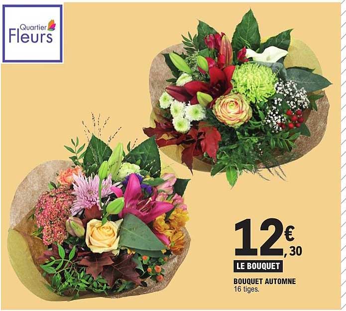 LE BOUQUET BOUQUET AUTOMNE 16 tiges.