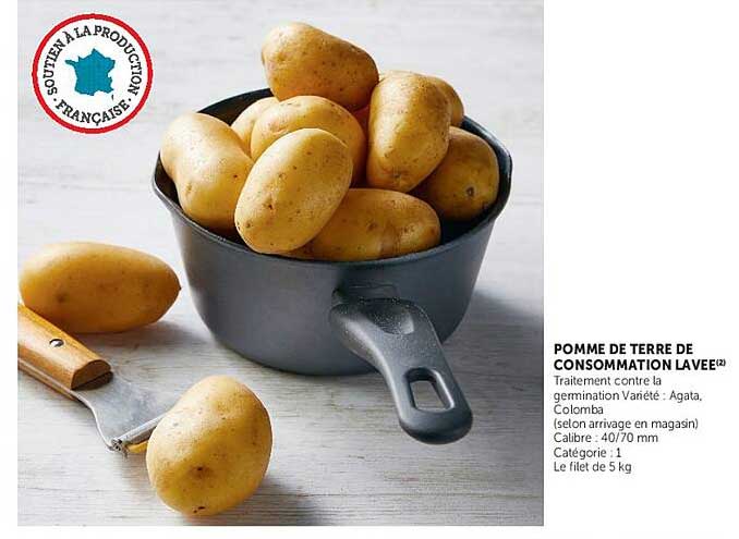 POMME DE TERRE DE CONSOMMATION LAVEE(2)