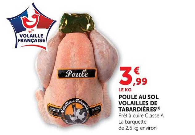 POULE AU SOL VOLAILLES DE TABARDIÈRES(1)