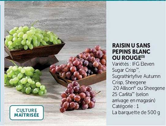 RAISIN U SANS PEPINS BLANC OU ROUGE