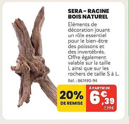 SERA – RACINE BOIS NATUREL