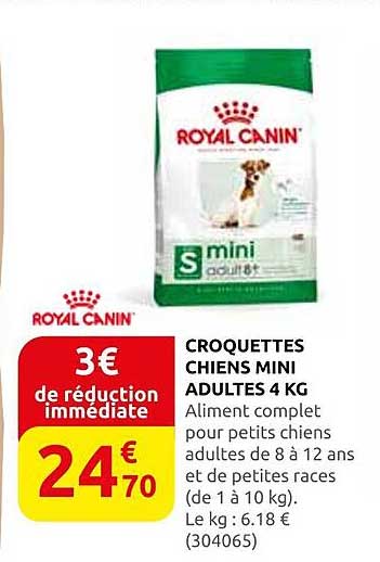 CROQUETTES CHIENS MINI ADULTES 4 KG