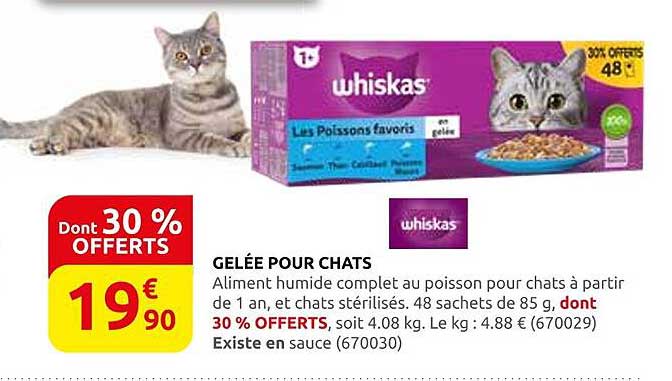GELÉE POUR CHATS