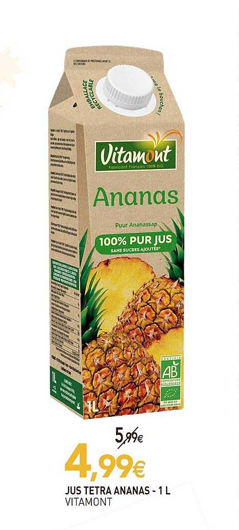 Jus Tetra Ananas - 1 L Vitamont