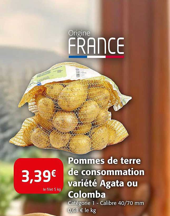 Pommes de terre de consommation variété Agata ou Colomba