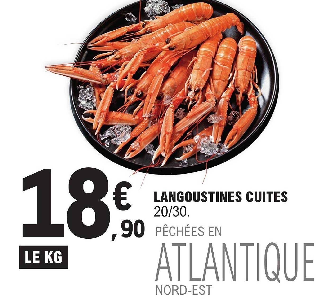 Sitemapcdatahttpsww4cellcare1comqueue De Langoustine Leclerc