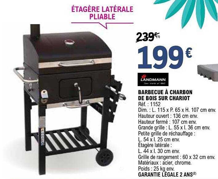 BARBECUE À CHARBON DE BOIS SUR CHARIOT