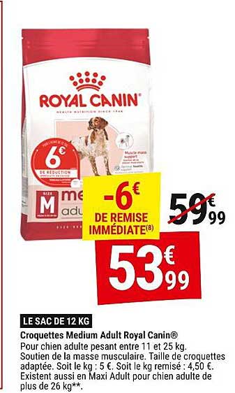 Croquettes Medium Adult Royal Canin®