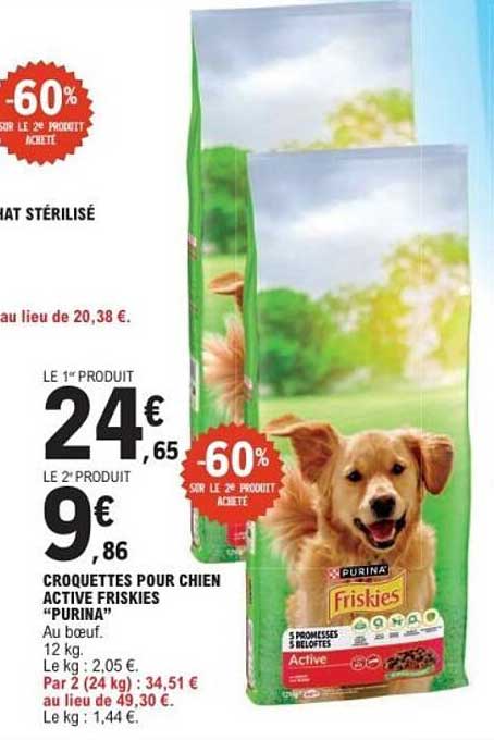 CROQUETTES POUR CHIEN ACTIVE FRISKIES "PURINA"