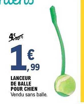 LANCEUR DE BALLE POUR CHIEN