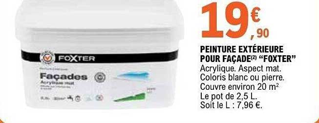 PEINTURE EXTÉRIEURE POUR FAÇADE “FOXTER”