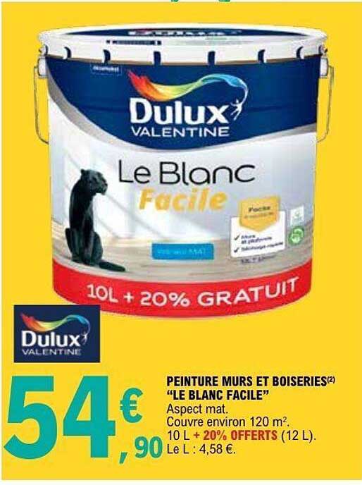 PEINTURE MURS ET BOISERIES "LE BLANC FACILE"