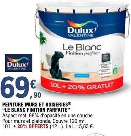 PEINTURE MURS ET BOISERIES "LE BLANC FINITION PARFAITE"