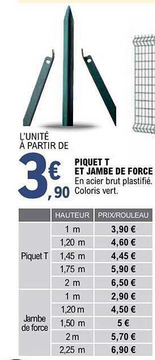 PIQUET T ET JAMBE DE FORCE