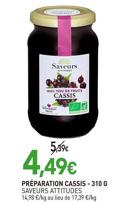 PRÉPARATION CASSIS - 310 G SAVEURS ATTITUDES