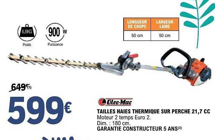 TAILLES HAIES THERMIQUE SUR PERCHE 21,7 CC
