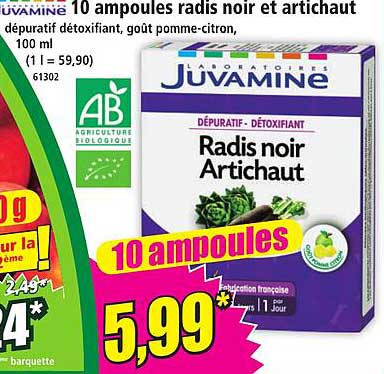 10 ampoules radis noir et artichaut