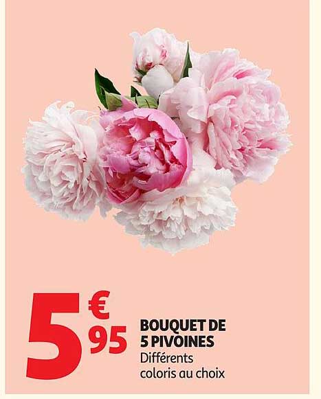BOUQUET DE 5 PIVOINES Différents coloris au choix