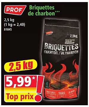 Briquettes de charbon***