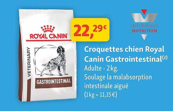 Croquettes chien Royal Canin Gastrointestinal(2)