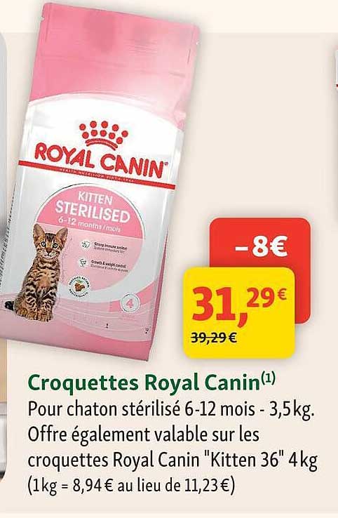 Croquettes Royal Canin