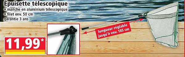 Épuisette télescopique