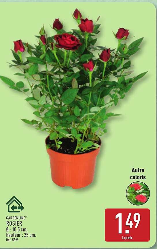GARDENLINE® ROSIER