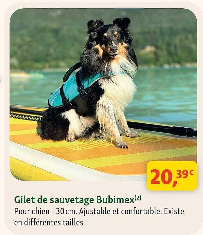Gilet de sauvetage Bubimex(2)