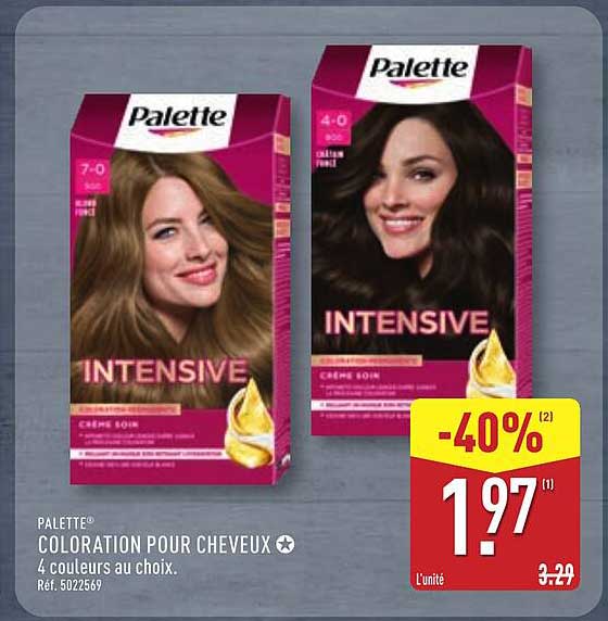 PALETTE COLORATION POUR CHEVEUX