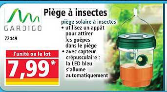 Piège à insectes