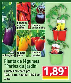 Plants de légumes "Perles du jardin"