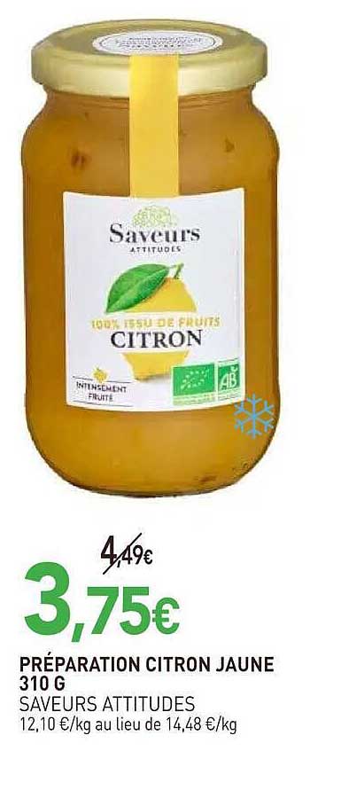 PRÉPARATION CITRON JAUNE 310 G SAVEURS ATTITUDES