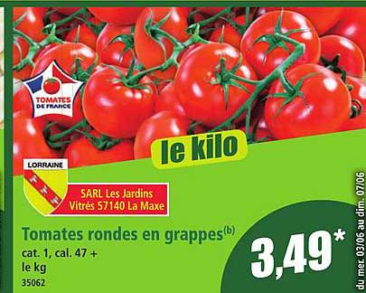 Tomates rondes en grappes
