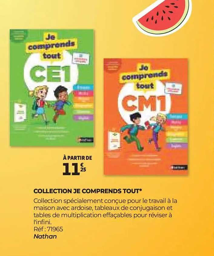 COLLECTION JE COMPRENDS TOUT*