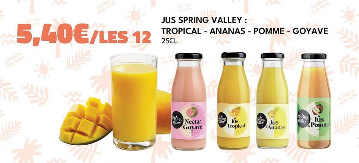 JUS SPRING VALLEY : TROPICAL - ANANAS - POMME - GOYAVE