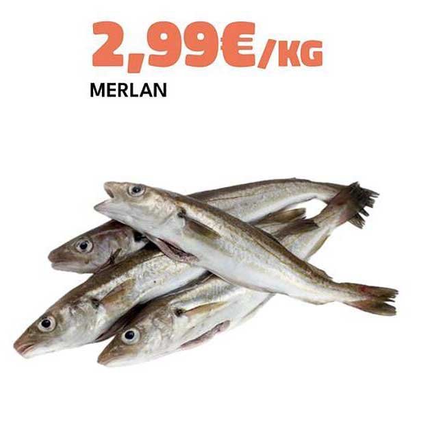 MERLAN