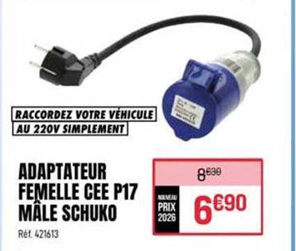 ADAPTATEUR FEMELLE CEE P17 MÂLE SCHUKO