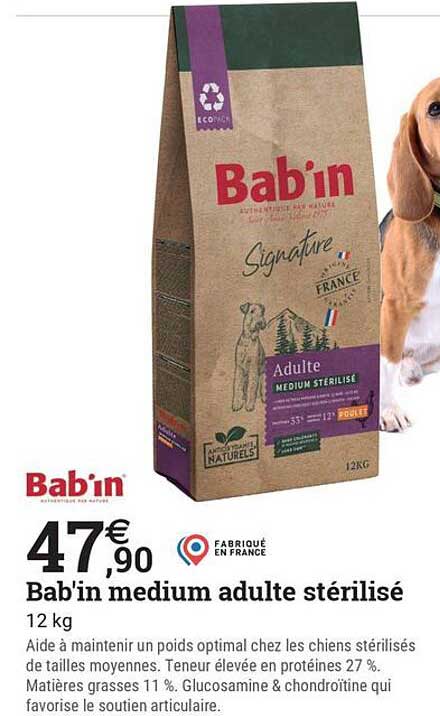 Bab'in medium adulte stérilisé