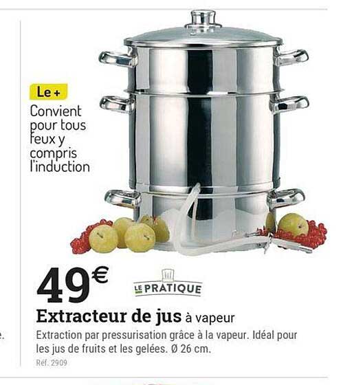 Extracteur de jus à vapeur
