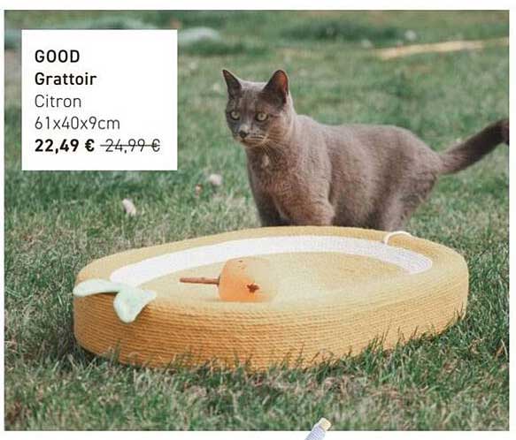 GOOD Grattoir Citron 61x40x9cm
